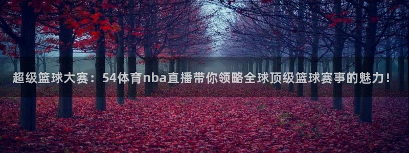 超级篮球大赛：54体育nba直播带你领略全球顶级篮球赛事的魅力！