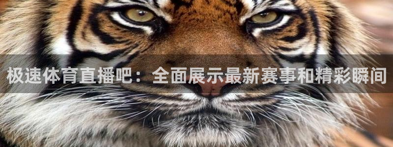极速体育直播吧：全面展示最新赛事和精彩瞬间