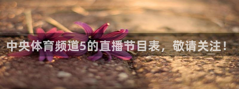 中央体育频道5的直播节目表，敬请关注！