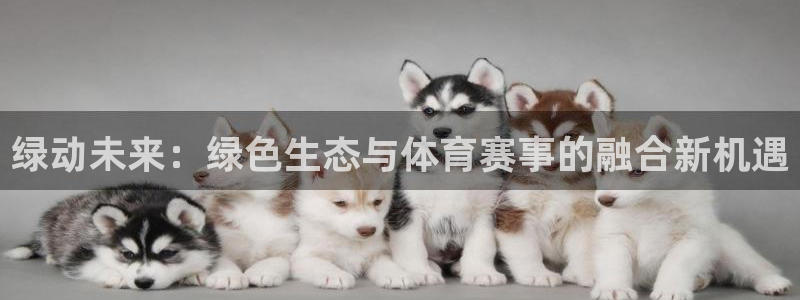 绿动未来：绿色生态与体育赛事的融合新机遇