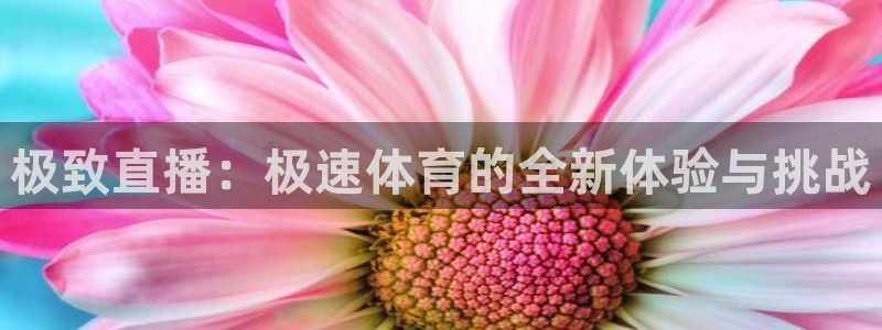 极致直播：极速体育的全新体验与挑战